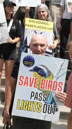 August 13, 2026, New York, New York, USA: Supporters and members of the NYC Bird Alliance gather outside City Hall to demand the passage of Lights Out legislation. The bill, dubbed Flaco s Law, aims to curb commercial night lighting to protect over 250,000 migratory birds from fatal building collisions in New York City annually. New York USA - ZUMAk03_ 20260813_zaf_k03_036 Copyright: xNancyxKaszermanx
