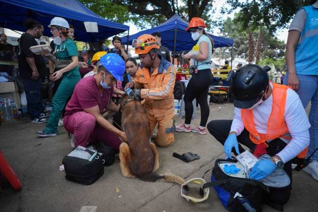 (260814) -- CALI, Aug. 14, 2026 -- A veterinarian examines a rescue dog in Cali, Colombia, Aug. 13, 2026. The death toll from Monday s 7.4-magnitude earthquake in Colombia has risen to 281, according to the country s National Unit for Disaster Risk Management. (Photo by Xinhua) COLOMBIA-CALI-EARTHQUAKE-SEARCH AND RESCUE AndresxMoreno 