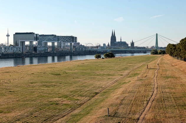 Due to historically low water levels in the Rhine, logistics have been severely disrupted. This is creating challenges and consequences for everyday life. There is a risk that transport routes along the Rhine will be cut off. Consumer costs are rising for food, fuel, and other goods due to increased transportation Foto:xR.xSchmiegeltx xFuturexImagex neidrigwasser_6801