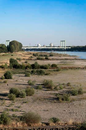 Poller Wiesen and Rodenkirchen Bridge: Due to historically low water levels in the Rhine, logistics have been severely disrupted. This is creating challenges and consequences for everyday life. There is a risk that transport routes along the Rhine will be cut off. Costs f Foto:xR.xSchmiegeltx xFuturexImagex neidrigwasser_6811