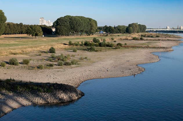 Poller Wiesen: Due to historically low water levels in the Rhine, logistics have been severely disrupted. This is creating challenges and consequences for everyday life. There is a risk that transport routes along the Rhine will be cut off. Consumer costs are rising for food, fuel, and other goods Foto:xR.xSchmiegeltx xFuturexImagex neidrigwasser_6815