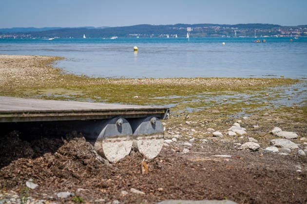 Lake Constance, Switzerland: Low water levels with extensive stretches of exposed shoreline, gravel areas, algae, and a boat dock barely floating; low water levels, low water level, lake level, dry conditions, drought, water shortage, water scarcity, precipitation deficit, heat, heat wave, climate change, global warming, water temperat Copyright: xJOERANxSTEINSIEKx