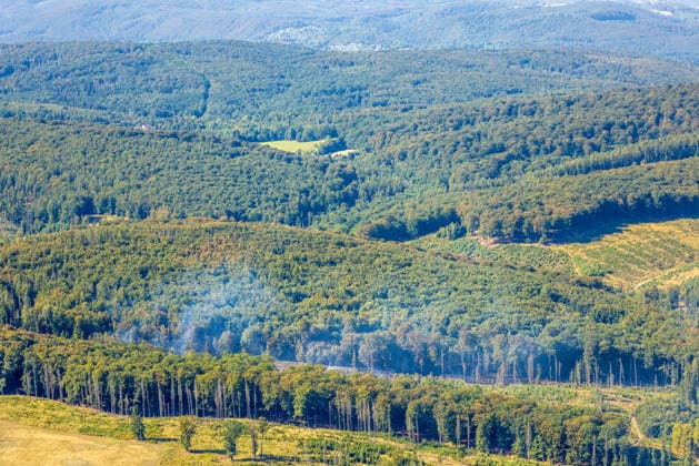 Aerial view of Arnsberg, extinguished forest fire in the Arnsberg Forest near Delecke, Möhnesee, fire department, fire watch, Sauerland, North Rhine-Westphalia, Germany ATTENTION: MINIMUM FEE: 60 EUR