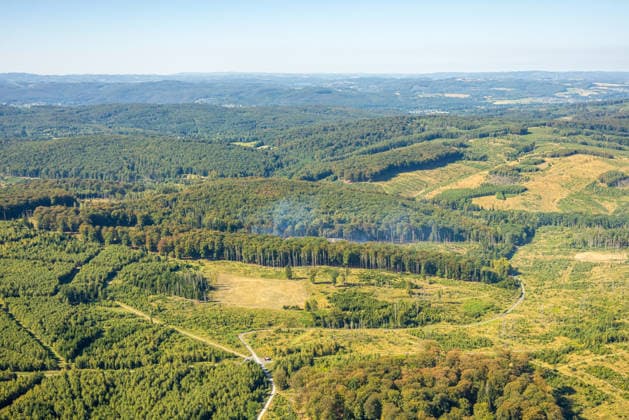 Aerial view of Arnsberg, extinguished forest fire in the Arnsberg Forest near Delecke, Möhnesee, fire department, fire watch, Sauerland, North Rhine-Westphalia, Germany ATTENTION: MINIMUM FEE: 60 EUR