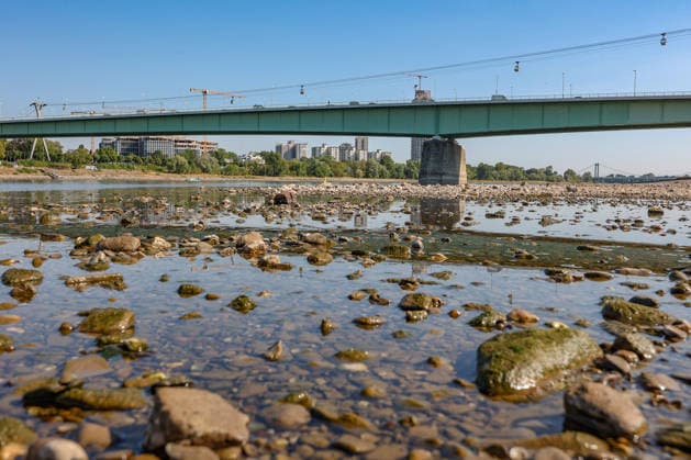Summer in the Rhineland: View of the Rhine near Cologne, Deutz. The Rhine in Cologne is at low water levels due to persistent drought. In the center of the photo is the Zoobrücke bridge. Summer in the Rhineland on August 14, 2026, in Cologne, Germany