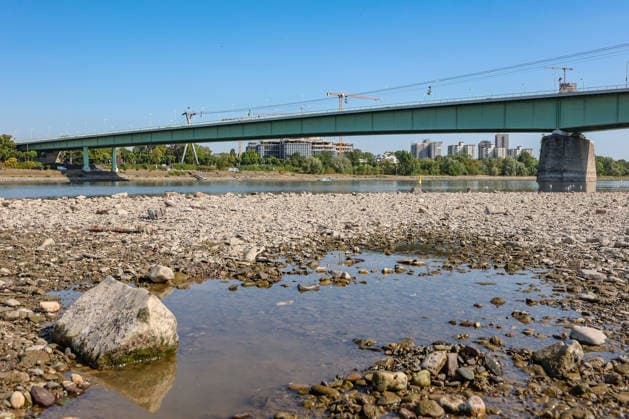 Summer in the Rhineland: View of the Rhine near Cologne, Deutz. The Rhine in Cologne is at low water levels due to persistent drought. In the center of the photo is the Zoobrücke bridge. Summer in the Rhineland on August 14, 2026, in Cologne, Germany