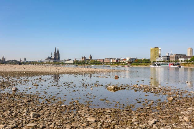 Summer in the Rhineland: View of the Rhine near Cologne (Deutz). The Rhine in Cologne is at low water levels due to persistent drought. In the background, the Hohenzollern Bridge is on the left and Cologne Cathedral is on the right. Summer in the Rhineland on August 14, 2026 in Cologne, Germany