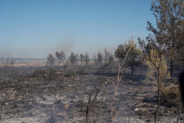August 14, 2026 Europe, Croatia, Ninsk Copyright: xLUKAxKOLANOVICx