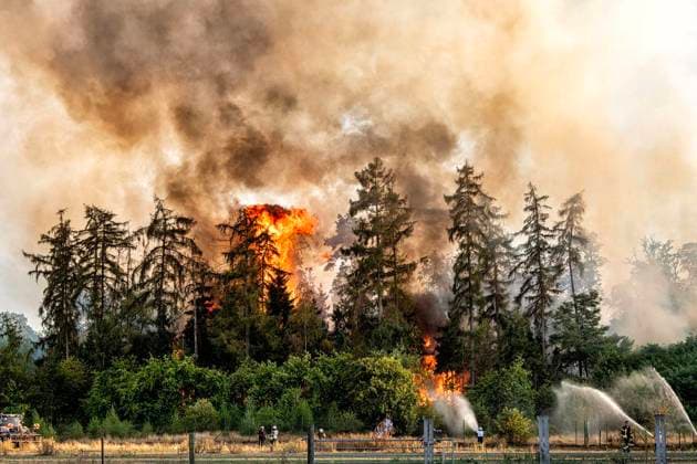 Forest Fire Near Sonsbeck Labbeck ** FOR EDITORIAL USE ONLY ** EDITORIAL USE ONLY ** p A forest area is on fire on August 14, 2026, next to Marienbaumer Straße in Lübeck. The fire department is on the scene with a large number of personnel to extinguish the blaze. Photo by Arnulf Stoffel, Funke Foto Services p Colorful Germany, North Rhine-Westphalia, Sonsbeck. Copyright ArnulfxStoffel Copyright: ArnulfxStoffel doc875rzdjqcc71ah3ijfvg ,EDITORIAL USE ONLY Copyright: ArnulfxStoffel