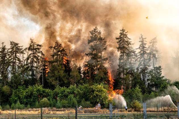 Forest Fire Near Sonsbeck Labbeck ** FOR EDITORIAL USE ONLY ** EDITORIAL USE ONLY ** p A forest area is on fire on August 14, 2026, next to Marienbaumer Straße in Lübeck. The fire department is on the scene with a large number of personnel to extinguish the blaze. Photo by Arnulf Stoffel, Funke Foto Services p Colorful Germany, North Rhine-Westphalia, Sonsbeck. Copyright ArnulfxStoffel Copyright: ArnulfxStoffel doc875rzdr9vjd4sf5eorb ,EDITORIAL USE ONLY Copyright: ArnulfxStoffel