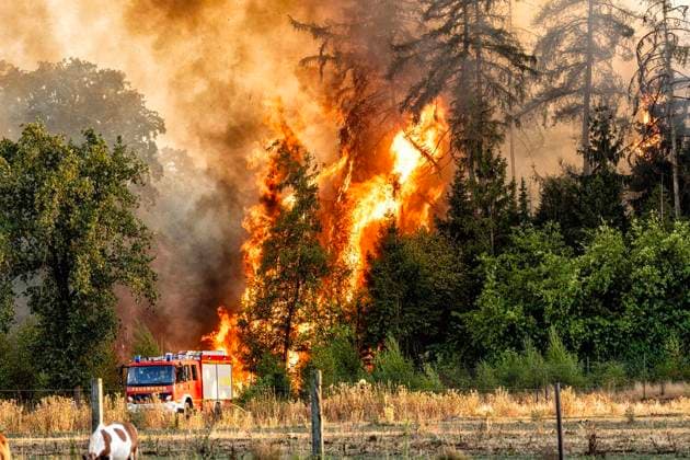 Forest Fire Near Sonsbeck Labbeck ** FOR EDITORIAL USE ONLY ** EDITORIAL USE ONLY ** p A forest area is on fire on August 14, 2026, next to Marienbaumer Straße in Lübeck. The fire department is on the scene with a large number of personnel to extinguish the blaze. Photo by Arnulf Stoffel, Funke Foto Services p Colorful Germany, North Rhine-Westphalia, Sonsbeck. Copyright ArnulfxStoffel Copyright: ArnulfxStoffel doc875rze0siac15f1dolb0 ,EDITORIAL USE ONLY Copyright: ArnulfxStoffel