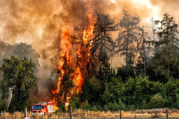 Forest Fire Near Sonsbeck Labbeck ** FOR EDITORIAL USE ONLY ** EDITORIAL USE ONLY ** p A forest area is on fire on August 14, 2026, next to Marienbaumer Straße in Lübeck. The fire department is on the scene with a large number of personnel to extinguish the blaze. Photo by Arnulf Stoffel, Funke Foto Services p Colorful Germany, North Rhine-Westphalia, Sonsbeck. Copyright ArnulfxStoffel Copyright: ArnulfxStoffel doc875rzefzh9lcwdael9y ,EDITORIAL USE ONLY Copyright: ArnulfxStoffel