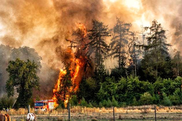 Forest Fire Near Sonsbeck Labbeck ** FOR EDITORIAL USE ONLY ** EDITORIAL USE ONLY ** p A forest area is on fire on August 14, 2026, next to Marienbaumer Straße in Lübeck. The fire department is on the scene with a large number of personnel to extinguish the blaze. Photo by Arnulf Stoffel, Funke Foto Services p Colorful Germany, North Rhine-Westphalia, Sonsbeck. Copyright ArnulfxStoffel Copyright: ArnulfxStoffel doc875rzeidixc3j6mzlcl ,EDITORIAL USE ONLY Copyright: ArnulfxStoffel