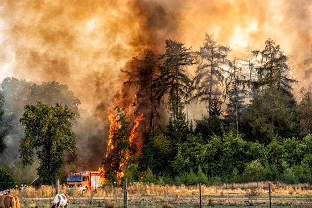 Forest Fire Near Sonsbeck Labbeck ** FOR EDITORIAL USE ONLY ** EDITORIAL USE ONLY ** p A forest area is on fire on August 14, 2026, next to Marienbaumer Straße in Lübeck. The fire department is on the scene with a large number of personnel to extinguish the blaze. Photo by Arnulf Stoffel, Funke Foto Services p Colorful Germany, North Rhine-Westphalia, Sonsbeck. Copyright ArnulfxStoffel Copyright: ArnulfxStoffel doc875rzg6j3fl1dup3fimm ,EDITORIAL USE ONLY Copyright: ArnulfxStoffel