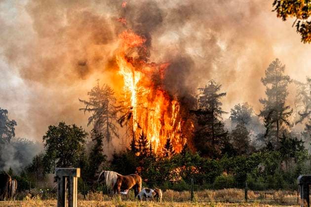 Forest Fire Near Sonsbeck Labbeck ** FOR EDITORIAL USE ONLY ** EDITORIAL USE ONLY ** p A forest area is on fire on August 14, 2026, next to Marienbaumer Straße in Lübeck. The fire department is on the scene with a large number of personnel to extinguish the blaze. Photo by Arnulf Stoffel, Funke Foto Services p Colorful Germany, North Rhine-Westphalia, Sonsbeck. Copyright ArnulfxStoffel Copyright: ArnulfxStoffel doc875rzgb4zfktl4e8ov2 ,EDITORIAL USE ONLY Copyright: ArnulfxStoffel