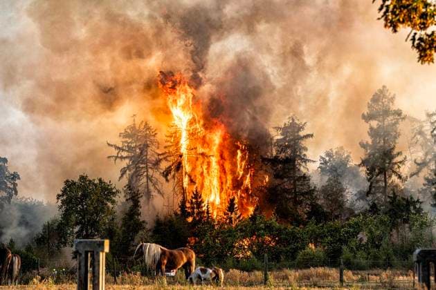 Forest Fire Near Sonsbeck Labbeck ** FOR EDITORIAL USE ONLY ** EDITORIAL USE ONLY ** p A forest area is on fire on August 14, 2026, next to Marienbaumer Straße in Lübeck. The fire department is on the scene with a large number of personnel to extinguish the blaze. Photo by Arnulf Stoffel, Funke Foto Services p Colorful Germany, North Rhine-Westphalia, Sonsbeck. Copyright ArnulfxStoffel Copyright: ArnulfxStoffel doc875rzghde8xgxqwaoy8 ,EDITORIAL USE ONLY Copyright: ArnulfxStoffel