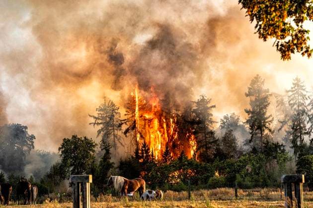 Forest Fire Near Sonsbeck Labbeck ** FOR EDITORIAL USE ONLY ** EDITORIAL USE ONLY ** p A forest area is on fire on August 14, 2026, next to Marienbaumer Straße in Lübeck. The fire department is on the scene with a large number of personnel to extinguish the blaze. Photo by Arnulf Stoffel, Funke Foto Services p Colorful Germany, North Rhine-Westphalia, Sonsbeck. Copyright ArnulfxStoffel Copyright: ArnulfxStoffel doc875rzgovlef9yodkl0k ,EDITORIAL USE ONLY Copyright: ArnulfxStoffel