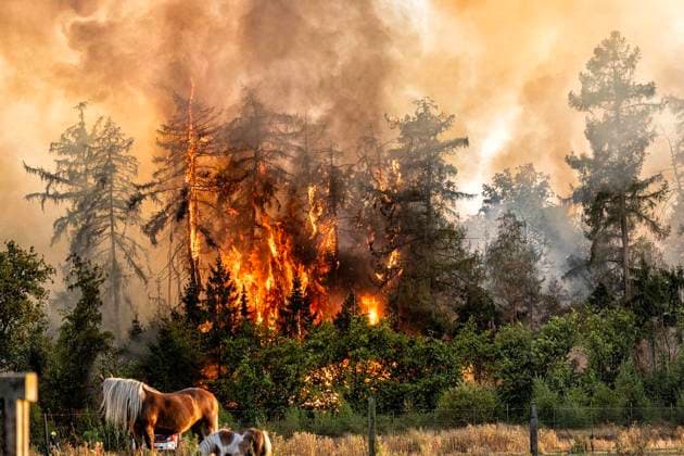 Forest Fire Near Sonsbeck Labbeck ** FOR EDITORIAL USE ONLY ** EDITORIAL USE ONLY ** p A forest area is on fire on August 14, 2026, next to Marienbaumer Straße in Lübeck. The fire department is on the scene with a large number of personnel to extinguish the blaze. Photo by Arnulf Stoffel, Funke Foto Services p Colorful Germany, North Rhine-Westphalia, Sonsbeck. Copyright ArnulfxStoffel Copyright: ArnulfxStoffel doc875rzgvw3ew1acvxhp6b ,EDITORIAL USE ONLY Copyright: ArnulfxStoffel