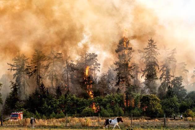 Forest Fire Near Sonsbeck Labbeck ** FOR EDITORIAL USE ONLY ** EDITORIAL USE ONLY ** p A forest area is on fire on August 14, 2026, next to Marienbaumer Straße in Lübeck. The fire department is on the scene with a large number of personnel to extinguish the blaze. Photo by Arnulf Stoffel, Funke Foto Services p Colorful Germany, North Rhine-Westphalia, Sonsbeck. Copyright ArnulfxStoffel Copyright: ArnulfxStoffel doc875rzgxn6rrkbm25odi ,EDITORIAL USE ONLY Copyright: ArnulfxStoffel