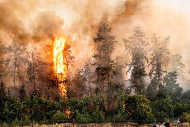 Forest Fire Near Sonsbeck Labbeck ** FOR EDITORIAL USE ONLY ** EDITORIAL USE ONLY ** p A forest area is on fire on August 14, 2026, next to Marienbaumer Straße in Lübeck. The fire department is on the scene with a large number of personnel to extinguish the blaze. Photo by Arnulf Stoffel, Funke Foto Services p Colorful Germany, North Rhine-Westphalia, Sonsbeck. Copyright ArnulfxStoffel Copyright: ArnulfxStoffel doc875rzh6wosg1mz8n2lcl ,EDITORIAL USE ONLY Copyright: ArnulfxStoffel
