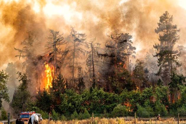 Forest Fire Near Sonsbeck Labbeck ** FOR EDITORIAL USE ONLY ** EDITORIAL USE ONLY ** p A forest area is on fire on August 14, 2026, next to Marienbaumer Straße in Lübeck. The fire department is on the scene with a large number of personnel to extinguish the blaze. Photo by Arnulf Stoffel, Funke Foto Services p Colorful Germany, North Rhine-Westphalia, Sonsbeck. Copyright ArnulfxStoffel Copyright: ArnulfxStoffel doc875rzhcg8wpzst8qov2 ,EDITORIAL USE ONLY Copyright: ArnulfxStoffel