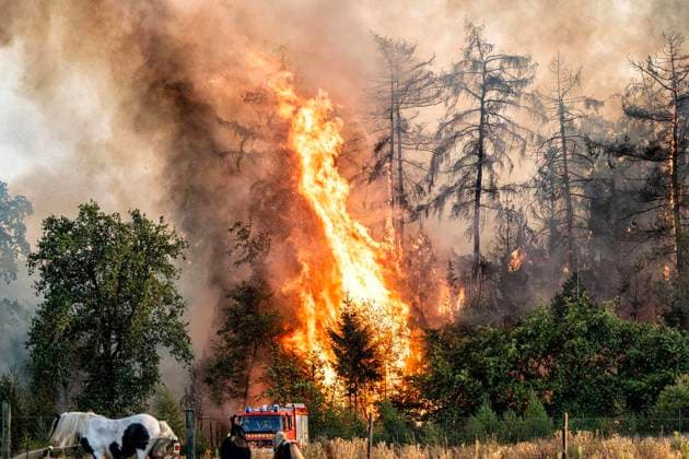 Forest Fire Near Sonsbeck Labbeck ** FOR EDITORIAL USE ONLY ** EDITORIAL USE ONLY ** p A forest area is on fire on August 14, 2026, next to Marienbaumer Straße in Lübeck. The fire department is on the scene with a large number of personnel to extinguish the blaze. Photo by Arnulf Stoffel, Funke Foto Services p Colorful Germany, North Rhine-Westphalia, Sonsbeck. Copyright ArnulfxStoffel Copyright: ArnulfxStoffel doc875rzhiq4ed1gu78gioy ,EDITORIAL USE ONLY Copyright: ArnulfxStoffel