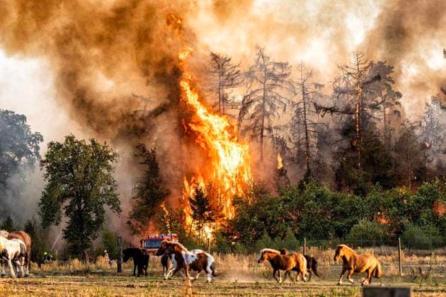Forest Fire Near Sonsbeck Labbeck ** FOR EDITORIAL USE ONLY ** EDITORIAL USE ONLY ** p A forest area is on fire on August 14, 2026, next to Marienbaumer Straße in Lübeck. The fire department is on the scene with a large number of personnel to extinguish the blaze. Photo by Arnulf Stoffel, Funke Foto Services p Colorful Germany, North Rhine-Westphalia, Sonsbeck. Copyright ArnulfxStoffel Copyright: ArnulfxStoffel doc875rzhp5qegbbaedl0k ,EDITORIAL USE ONLY Copyright: ArnulfxStoffel