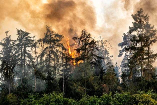 Forest Fire Near Sonsbeck Labbeck ** FOR EDITORIAL USE ONLY ** EDITORIAL USE ONLY ** p A forest area is on fire on August 14, 2026, next to Marienbaumer Straße in Lübeck. The fire department is on the scene with a large number of personnel to extinguish the blaze. Photo by Arnulf Stoffel, Funke Foto Services p Colorful Germany, North Rhine-Westphalia, Sonsbeck. Copyright ArnulfxStoffel Copyright: ArnulfxStoffel doc875rzcn6o6hn2fgiosv ,EDITORIAL USE ONLY Copyright: ArnulfxStoffel