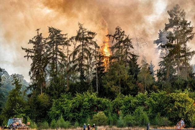 Forest Fire Near Sonsbeck Labbeck ** FOR EDITORIAL USE ONLY ** EDITORIAL USE ONLY ** p A forest area is on fire on August 14, 2026, next to Marienbaumer Straße in Lübeck. The fire department is on the scene with a large number of personnel to extinguish the blaze. Photo by Arnulf Stoffel, Funke Foto Services p Colorful Germany, North Rhine-Westphalia, Sonsbeck. Copyright ArnulfxStoffel Copyright: ArnulfxStoffel doc875rzd1ugeb19x3el96 ,EDITORIAL USE ONLY Copyright: ArnulfxStoffel