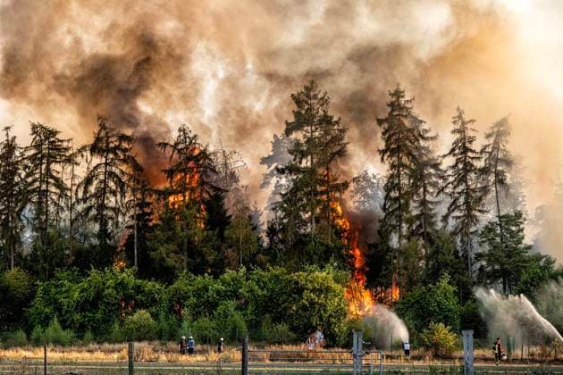 Forest Fire Near Sonsbeck Labbeck ** FOR EDITORIAL USE ONLY ** EDITORIAL USE ONLY ** p A forest area is on fire on August 14, 2026, next to Marienbaumer Straße in Lübeck. The fire department is on the scene with a large number of personnel to extinguish the blaze. Photo by Arnulf Stoffel, Funke Foto Services p Colorful Germany, North Rhine-Westphalia, Sonsbeck. Copyright ArnulfxStoffel Copyright: ArnulfxStoffel doc875rzd9alquzwhmxl9y ,EDITORIAL USE ONLY Copyright: ArnulfxStoffel