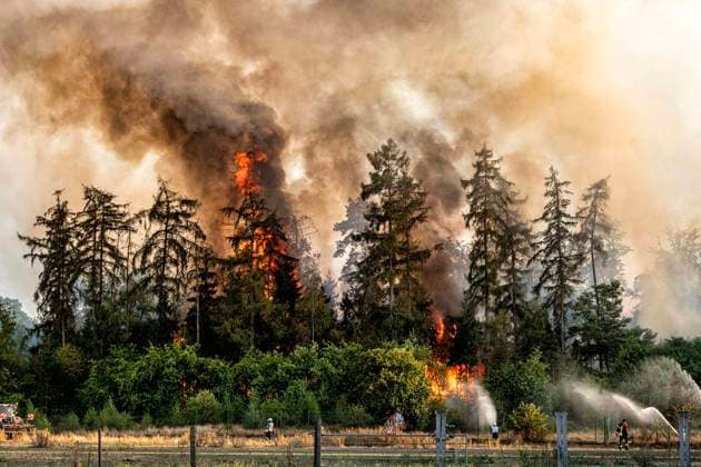 Forest Fire Near Sonsbeck Labbeck ** FOR EDITORIAL USE ONLY ** EDITORIAL USE ONLY ** p A forest area is on fire on August 14, 2026, next to Marienbaumer Straße in Lübeck. The fire department is on the scene with a large number of personnel to extinguish the blaze. Photo by Arnulf Stoffel, Funke Foto Services p Colorful Germany, North Rhine-Westphalia, Sonsbeck. Copyright ArnulfxStoffel Copyright: ArnulfxStoffel doc875rzdbrfs5d7o51p6b ,EDITORIAL USE ONLY Copyright: ArnulfxStoffel