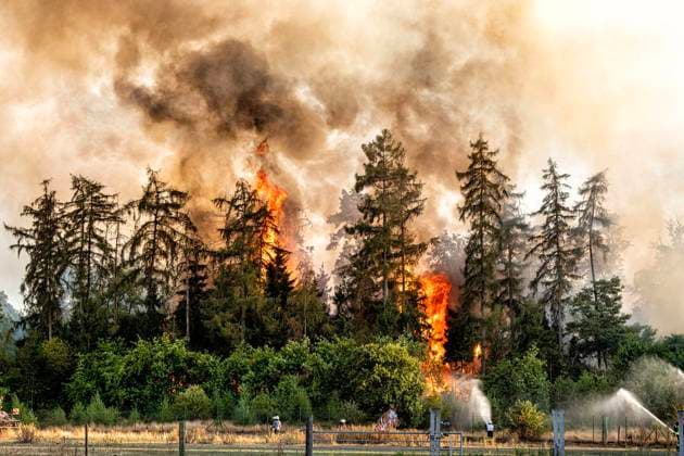 Forest Fire Near Sonsbeck Labbeck ** FOR EDITORIAL USE ONLY ** EDITORIAL USE ONLY ** p A forest area is on fire on August 14, 2026, next to Marienbaumer Straße in Lübeck. The fire department is on the scene with a large number of personnel to extinguish the blaze. Photo by Arnulf Stoffel, Funke Foto Services p Colorful Germany, North Rhine-Westphalia, Sonsbeck. Copyright ArnulfxStoffel Copyright: ArnulfxStoffel doc875rzdlxj1x1b5tx7osv ,EDITORIAL USE ONLY Copyright: ArnulfxStoffel