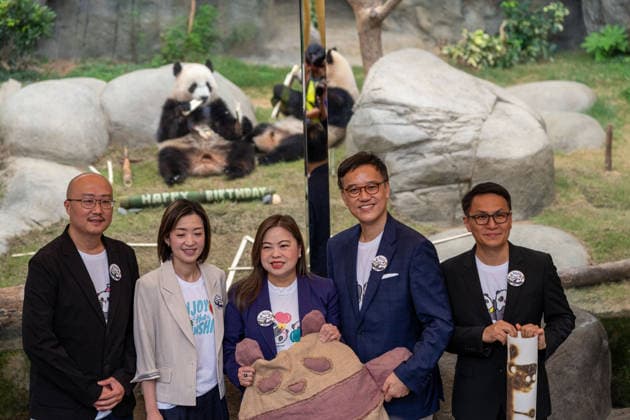 Hong Kong Panda Twins Mark 2nd Birthday Hong Kong Secretary for Culture, Sports and Tourism Rosanna Law at Hong Kong Ocean Park on August 14, 2026 in Hong Kong. The Hong Kong Panda twins today celebrated their 2nd birthday. (Photo by Vernon Yuen Nexpher Images) HONG KONG