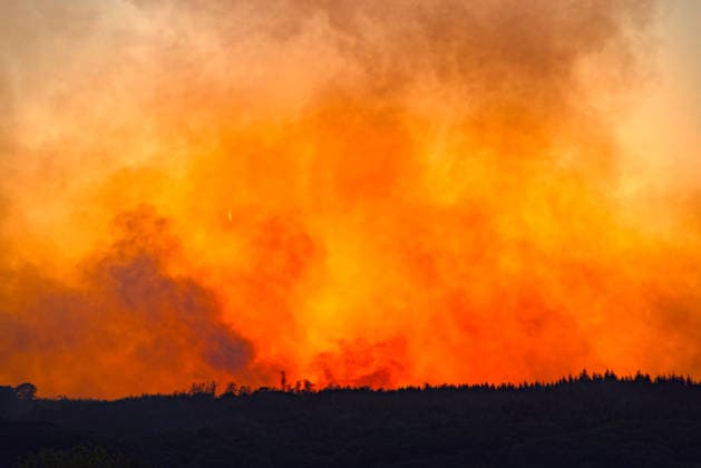 Forest Fire Germany NRW August 15, 2026, Germany, North Rhine-Westphalia, Hürtgenwald, Düren, Climate, Summer, Heat, Fire, Forest Fire For the past 3 days, a forest fire that keeps flaring up has been threatening 6 municipalities with a total population of 11,000 ac