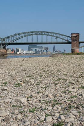 A low-angle shot captures the wide, exposed pebble and stone bank of the Rhine during extreme summer low water levels. In the blurred background, the steel truss structure of the historic Südbrücke stands out with its distinctive brick defense towers. Behind it, the Cologne skyline features the 20260816-DSCF2124