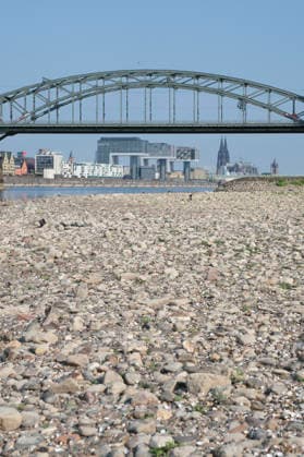 A low-angle shot captures the wide, exposed pebble and stone bank of the Rhine during extreme summer low water levels. In the blurred background, the steel truss structure of the historic Südbrücke stands out with its distinctive brick defense towers. Behind it, the Cologne skyline features the 20260816-DSCF2129