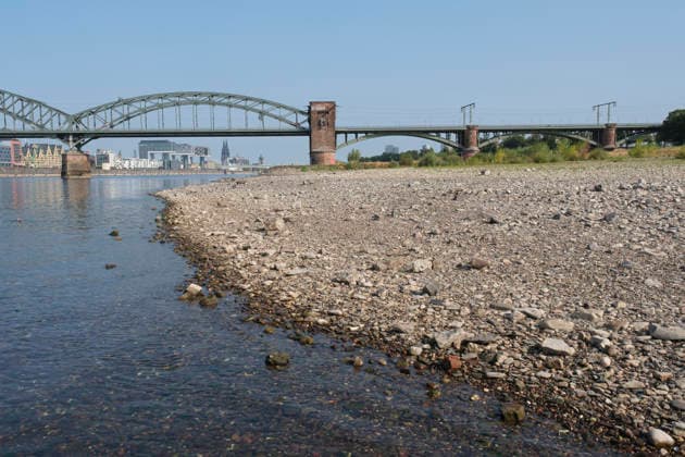 A wide-angle view captures the significantly receded riverbed of the Rhine, exposing a vast dried-out pebble and stone bank during extreme summer low water levels. The historic steel Südbrücke spans the river with 20260816-DSCF2140