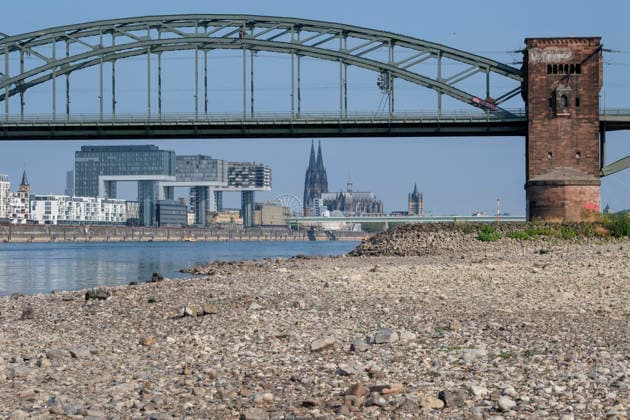A wide-angle view captures the significantly receded riverbed of the Rhine, exposing a vast dried-out pebble and stone bank during extreme summer low water levels. The historic steel Südbrücke spans 20260816-DSCF2143