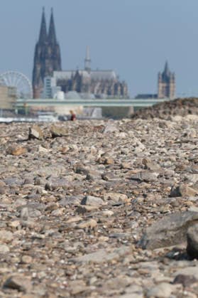A telephoto shot captures the prominent Cologne cityscape featuring the modern Kranhäuser buildings in the Rheinauhafen and the Gothic spires of the Cologne Cathedral in the background. In the foreground, the vast, exposed pebble and stone bank of the Rhine illustrates the impact of extreme summer low water levels. Next to the cathedral, the white Nordrhein-Westfalen Deutschland, Germany 20260816-DSCF2163