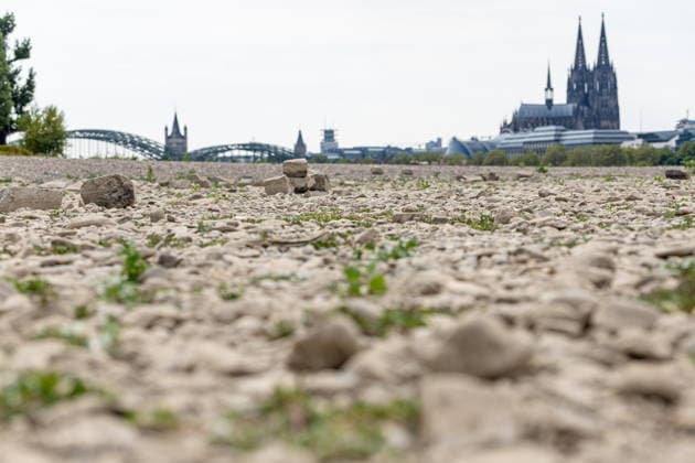 Record-Low Water Level on the Rhine: Exposed Riverbed on the Deutz Bank of the Rhine, August 16, 2026. View from the Deutz bank of the Rhine toward Cologne Cathedral, showing the riverbed exposed by the record-low water level. The water level at Colo Copyright: xMarcxJohnx