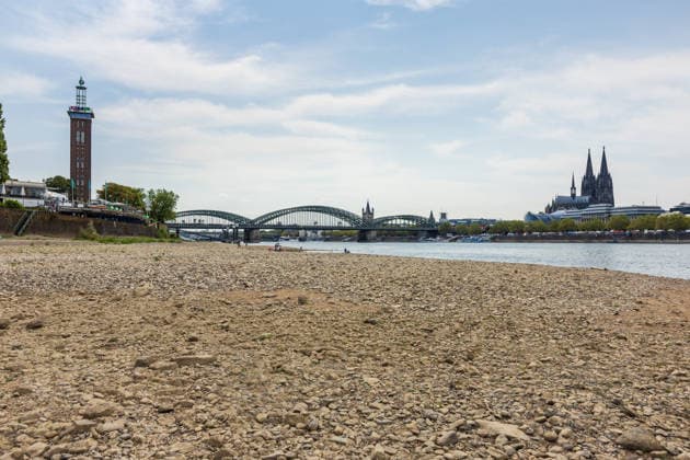 Record-Low Water Level on the Rhine: Exposed Riverbed on the Deutz Bank of the Rhine, August 16, 2026. View from the Deutz bank of the Rhine toward Cologne Cathedral, showing the riverbed exposed by the record-low water level. The water level at Colo Copyright: xMarcxJohnx