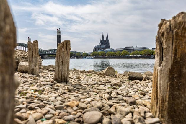 Record-Low Water Level on the Rhine: Exposed Piles of the Patton Bridge on the Deutz Bank of the Rhine, August 16, 1926. View of the wooden piles of the former Patton Bridge on the Deutz bank of the Rhine, n Copyright: xMarcxJohnx