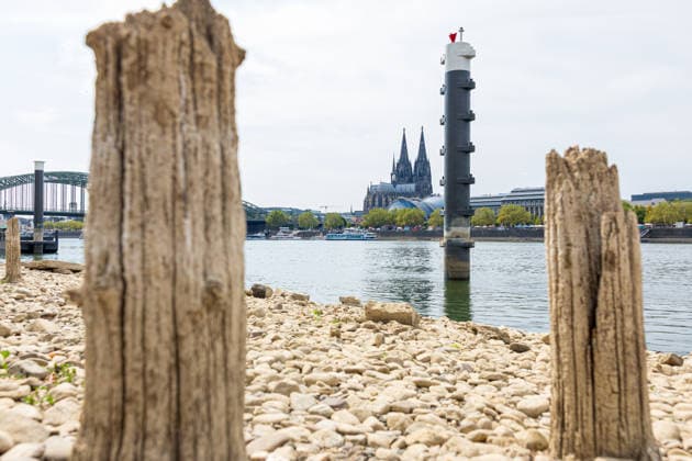 Record-Low Water Level on the Rhine: Exposed Piles of the Patton Bridge on the Deutz Bank of the Rhine, August 16, 1926. View of the wooden piles of the former Patton Bridge on the Deutz bank of the Rhine, n Copyright: xMarcxJohnx