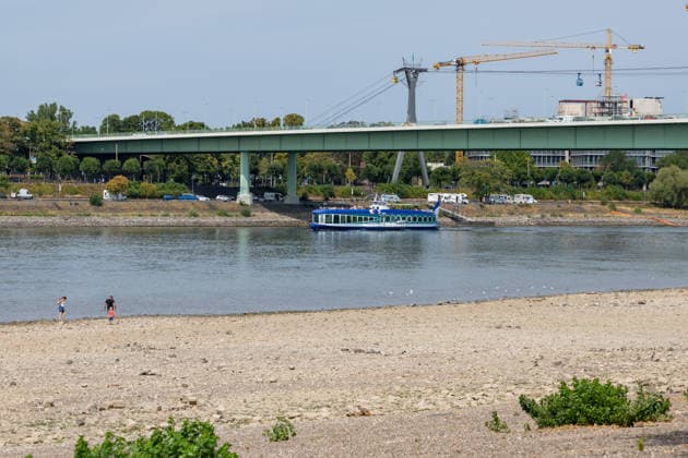 Record-Low Water Level on the Rhine: Exposed Riverbed on the Deutz Bank of the Rhine, August 16, 2026. View from the Deutz bank of the Rhine toward the Zoobrücke, showing the riverbed exposed by the record-low water leve Copyright: xMarcxJohnx