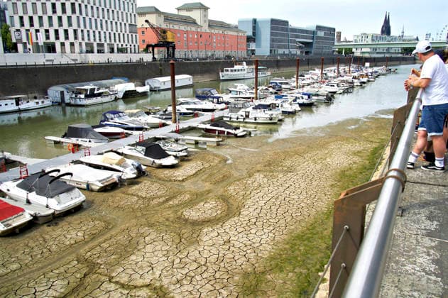 The Rhine in Cologne is at an all-time low. Overnight into Sunday, the water level dropped to just 45 centimeters, well below the previous record low. This is becoming an increasing problem for shipping. Cologne, August 16, 2026 Foto:xC.xAdolph xFuturexImagex niedrigwasser_6861