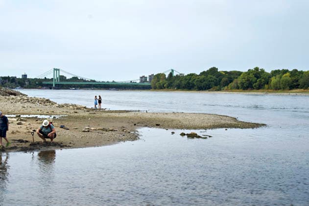 The Rhine in Cologne is at an all-time low. Overnight into Sunday, the water level dropped to just 45 centimeters, well below the previous record low. This is becoming an increasing problem for shipping. Cologne, August 16, 2026 Foto:xC.xAdolph xFuturexImagex niedrigwasser_6870