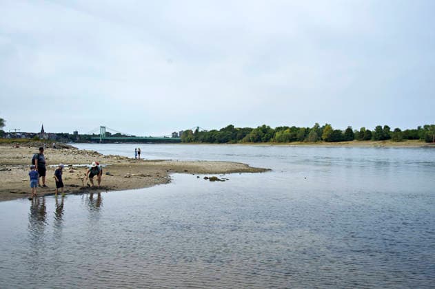 The Rhine in Cologne is at an all-time low. Overnight into Sunday, the water level dropped to just 45 centimeters, well below the previous record low. This is becoming an increasing problem for shipping. Cologne, August 16, 2026 Foto:xC.xAdolph xFuturexImagex niedrigwasser_6871