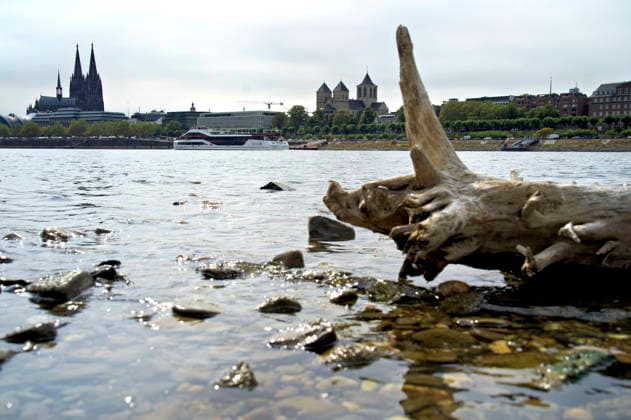 The Rhine in Cologne is at an all-time low. Overnight into Sunday, the water level dropped to just 45 centimeters, well below the previous record low. This is becoming an increasing problem for shipping. Cologne, August 16, 2026 Foto:xC.xAdolph xFuturexImagex niedrigwasser_6878