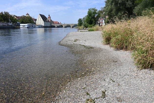 Low Water Levels on the Danube in Regensburg, Bavaria: Heat and Drought Have Led to Water Levels in Some Parts of Europe That Are at Historic Lows. In several places, the Danube is carrying less water than at any time since records began. The consequences are far-reaching. The river has reached a record-low water level.