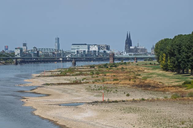 Record-Low Water Level on the Rhine: View of Cologne from the Rodenkirchen Bridge, August 16, 2026. View of the Cologne skyline from the Rhine Bridge (Cologn Copyright: xMarcxJohnx